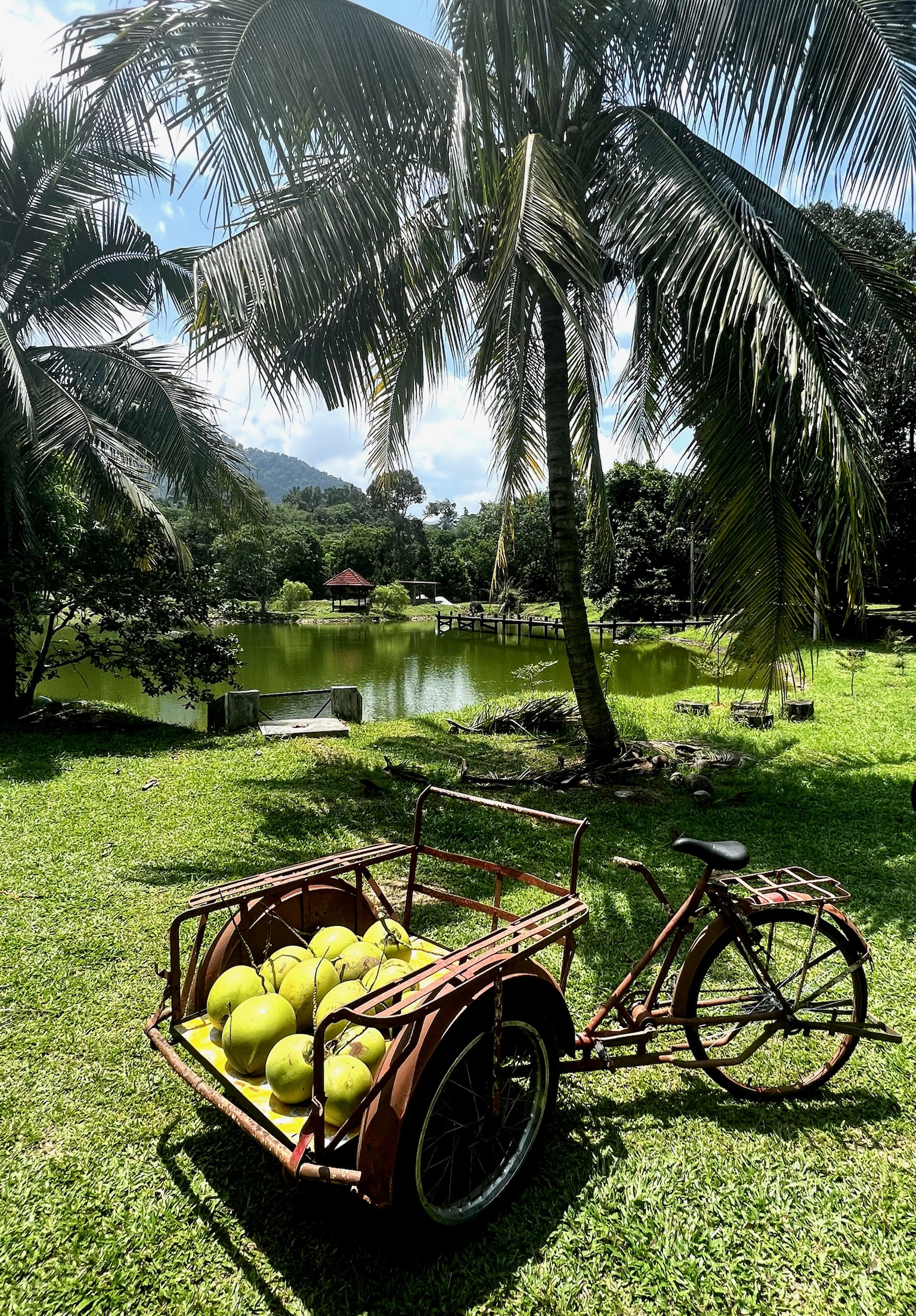 Picnic Tanah Kalumpang 13